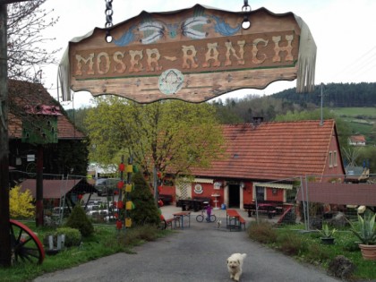 Photo: Moserhof-Ranch Hinterstocken